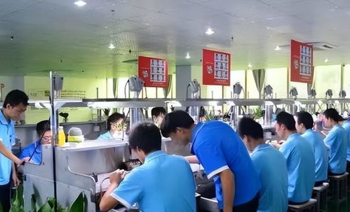 青海學(xué)霸周浩 從北大退學(xué)到技校，他的選擇照亮另一種教育可能